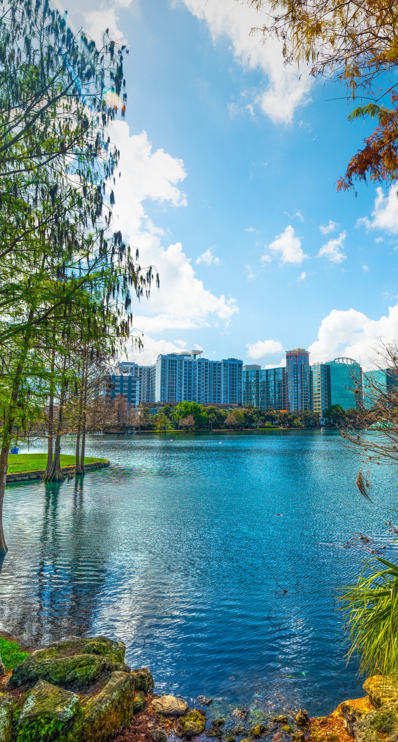 Beautiful Lake Eola park shore on a sunny day